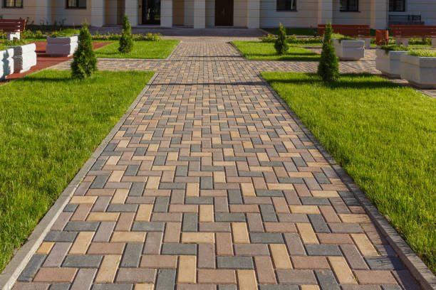 Best Interlocking Driveway Pavers  in San Diego, TX